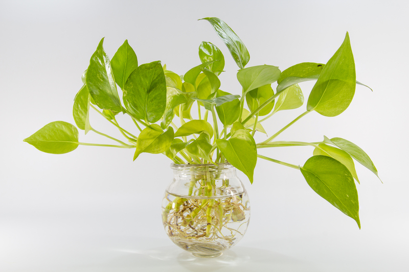 landscape design garden